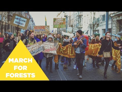 Jurgis DID | Public Flux – March for Forests (2019.10.25)